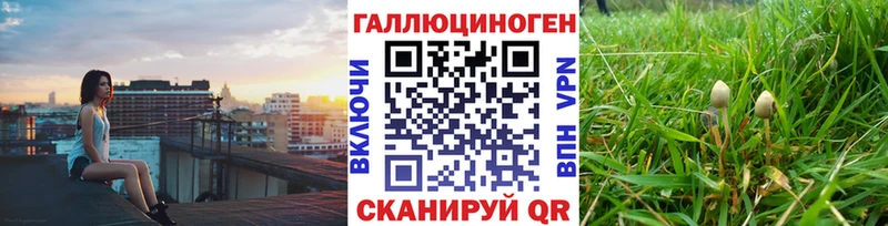 Галлюциногенные грибы мицелий  omg рабочий сайт  Карасук 