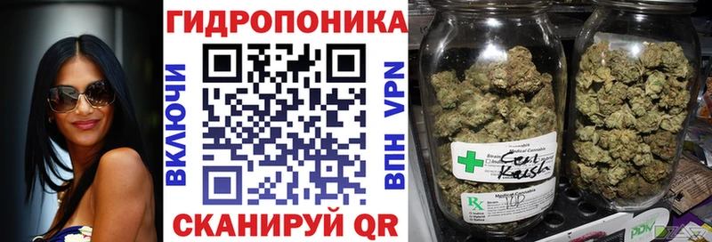 Конопля SATIVA & INDICA  Карасук 